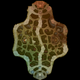 Illustration for article titled Smite Season Two Gives Players A Lovely New Place To Kill Each Other